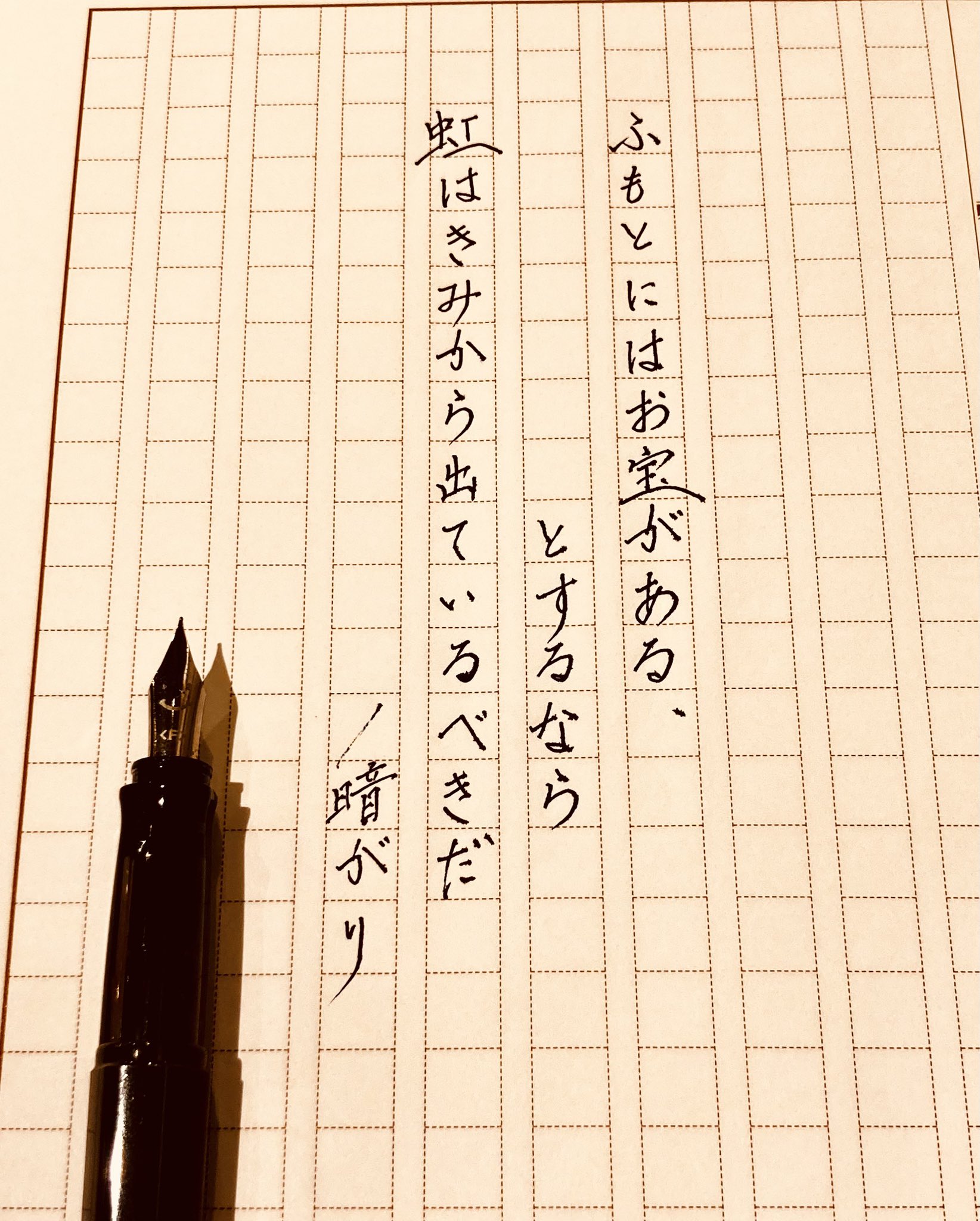 植物化計画　TANAKA AZUSA  田中あずさ　作品集 Amazon.co.jp: 植物化計画 TANAKA AZUSA 田中あずさ 作品集