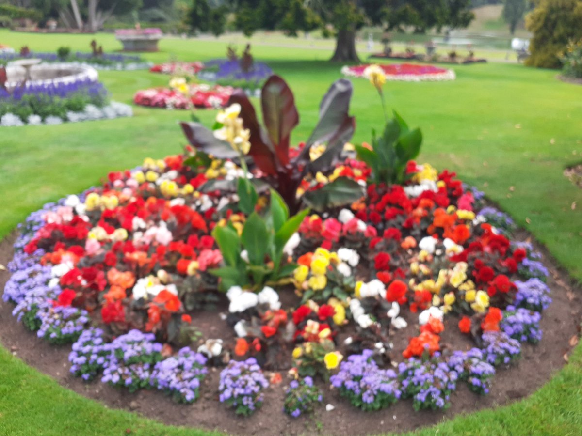 Bicton Big time.
<a href="/BictonPark/">Bicton Park</a> <a href="/4monarosi/">4Monarosi</a> <a href="/alliemcrowe/">🌱 The Wee Flower Farmer</a> <a href="/AnnMariSheerio/">Ann Marie</a> <a href="/Antonia15652/">Antonia🌈🌈</a> <a href="/bibekum/">Rita Bibekum Aya🇨🇲🇩🇰</a> <a href="/vlucia24660241/">vlucia🌺🦋🇧🇷🥰</a> <a href="/VaSeemsReal/">🌱Vaseem</a>
