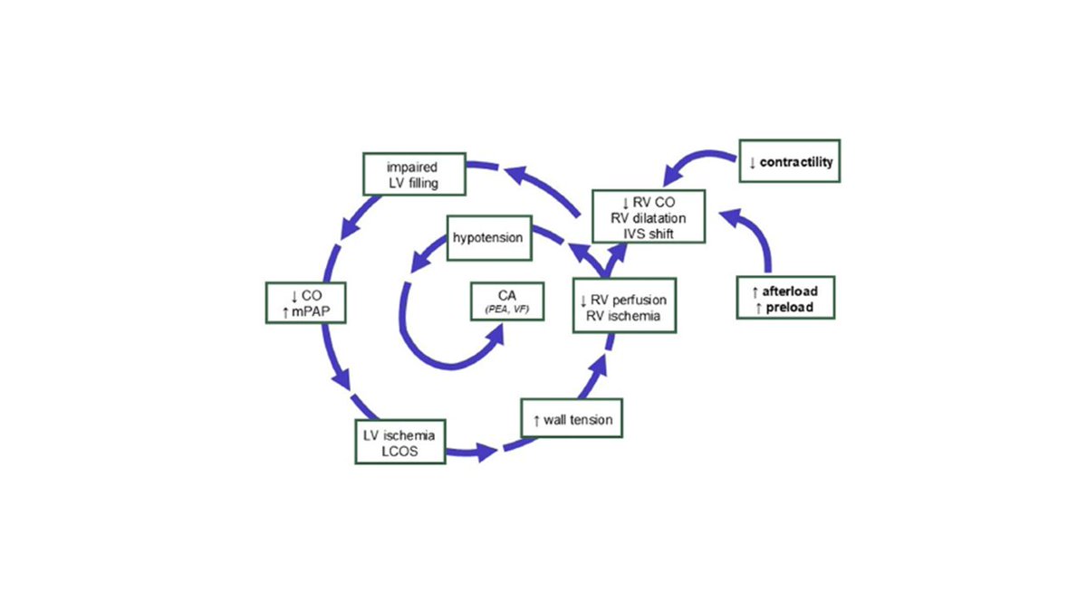 🚨 New Review: "Identification, Evaluation, and Management of Perioperative Right Ventricular Dysfunction in Noncardiac Surgery" by Bottussi et al. (2025)
🔗 doi.org/10.1053/j.jvca… #CardioTwitter #RVFailure #JCTVA