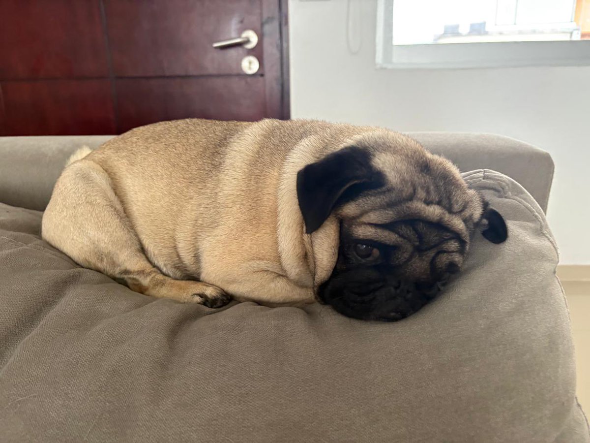 Mandarinnee's tweet image. Domingo pero mañana es lunes 🥹…