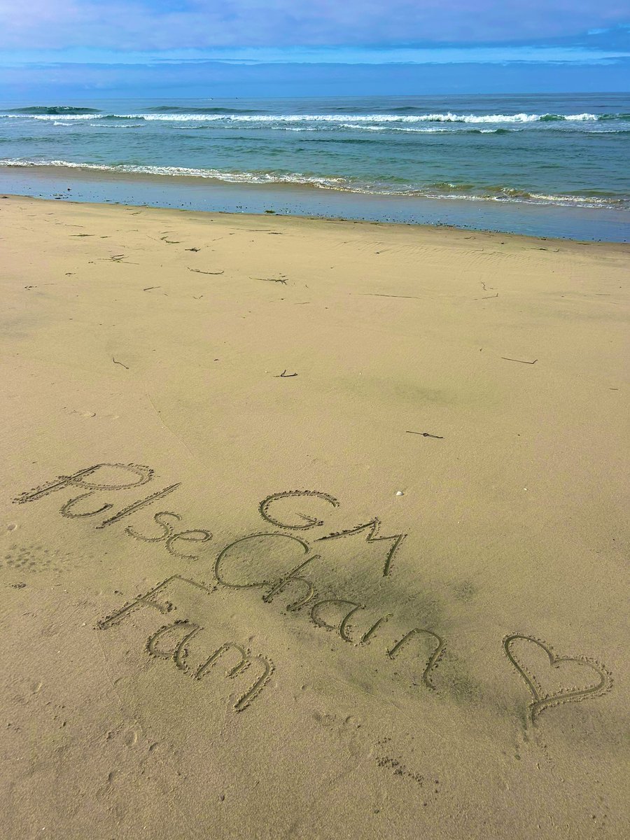 AWildSJ's tweet image. GM GM!! Show it back if you can :)
Have a beautiful day and think on what you’re grateful for.
