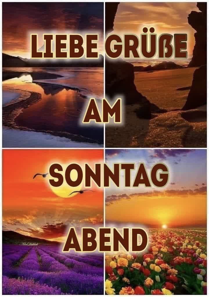 Einfach_i's tweet image. Wünsche allseits eine angenehme Nachtruhe und morgen startet erholt in die neue Woche!🙋🏻✨🛏️👍