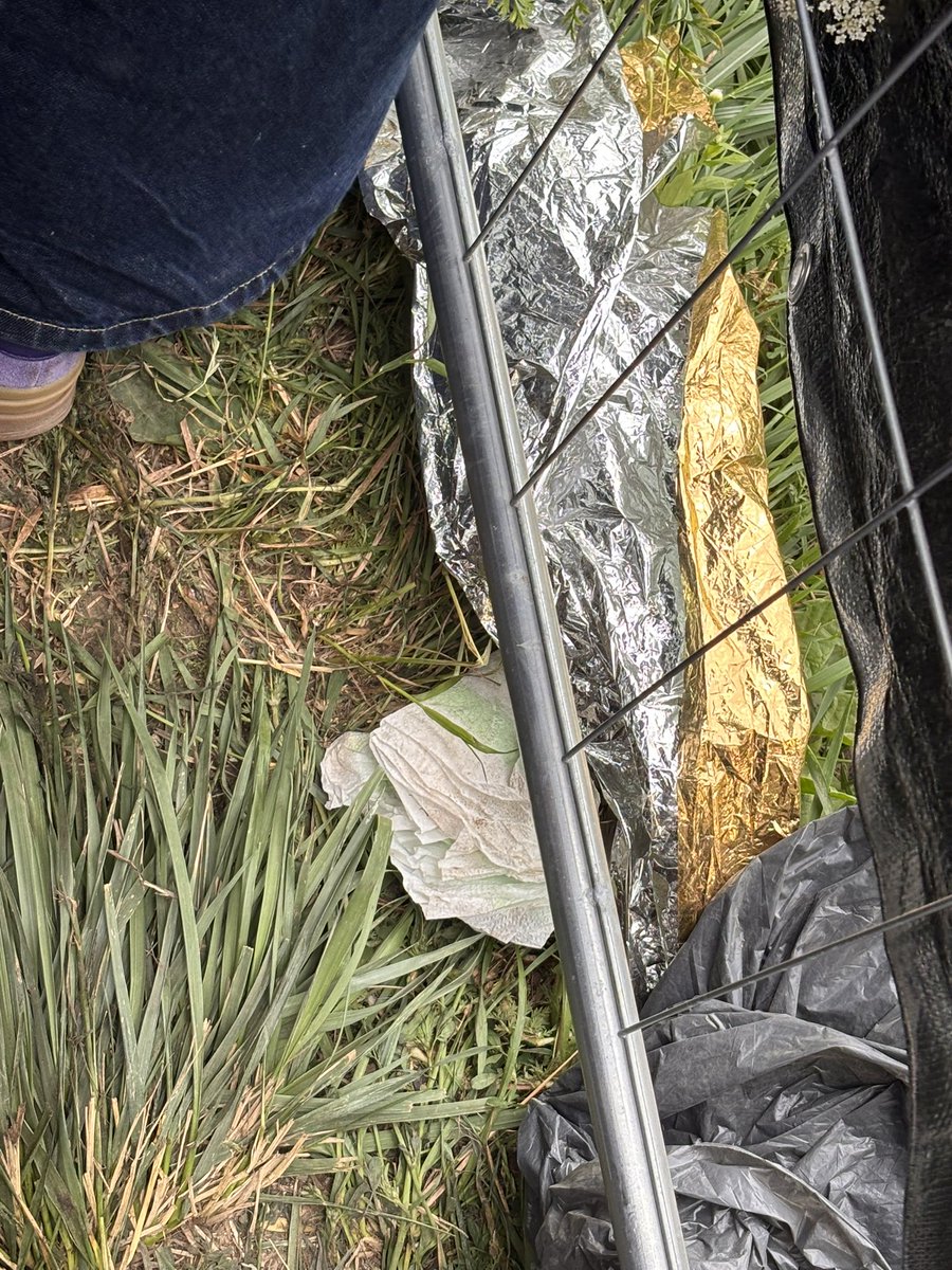 oopsmyed's tweet image. btw nasze kochane kolejkowiczki, które czekały na lou nawet podpaski po sobie pozostawiały xddd