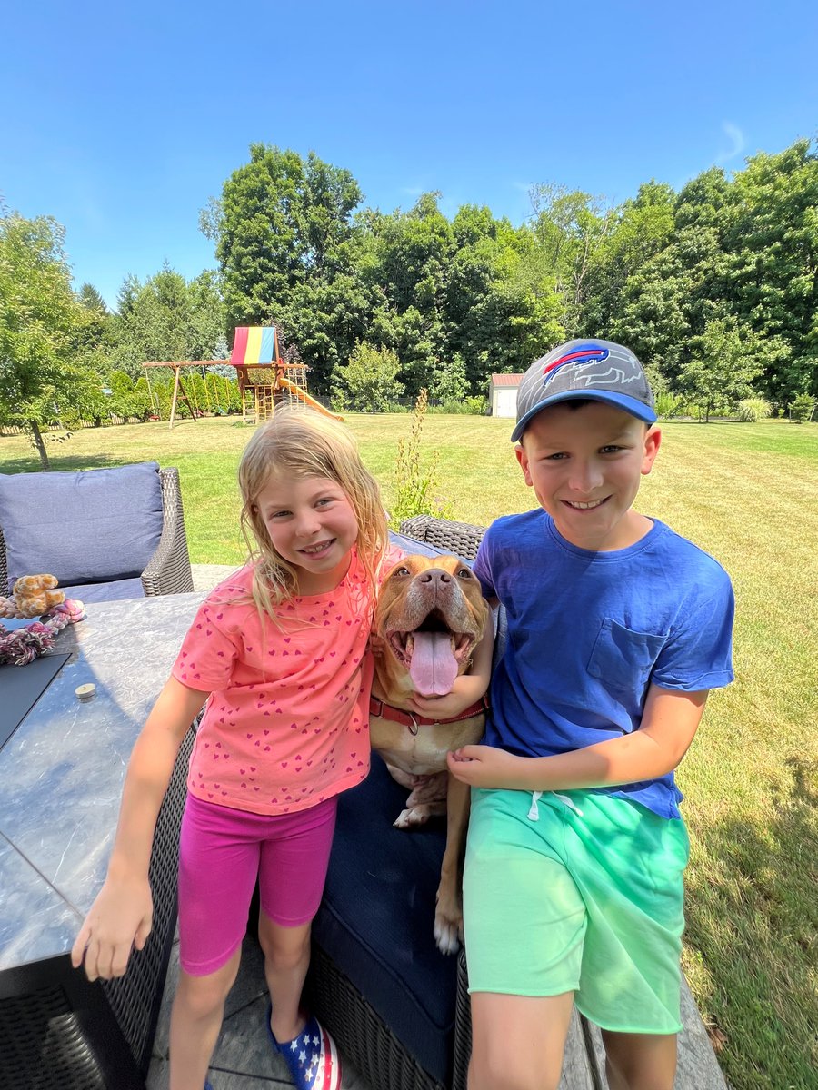 YourSPCA's tweet image. Want some one-on-one time with a shelter dog — no strings attached?
Check out Doggie Entourage, presented by Moog! You’ll get to take a shelter pup out of their kennel for an adventure-filled day of fun, snuggles, and tail wags. Walks, playtime, chill hangs is all on the agenda!