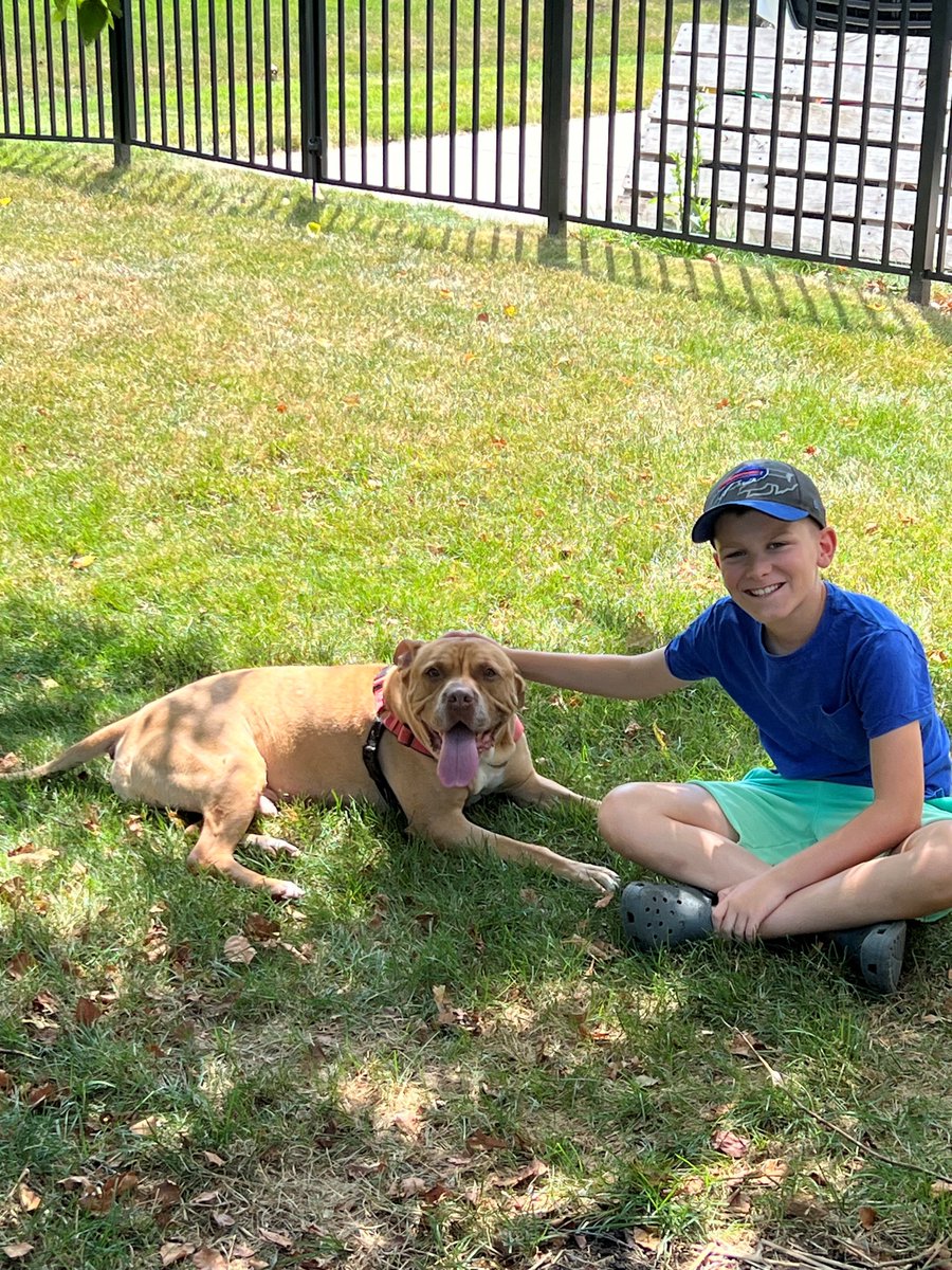 YourSPCA's tweet image. Want some one-on-one time with a shelter dog — no strings attached?
Check out Doggie Entourage, presented by Moog! You’ll get to take a shelter pup out of their kennel for an adventure-filled day of fun, snuggles, and tail wags. Walks, playtime, chill hangs is all on the agenda!
