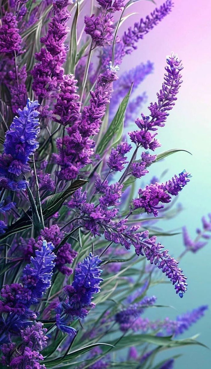 escape056's tweet image. 