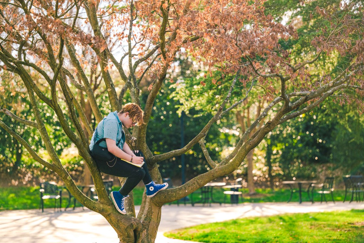 UNCG's tweet image. There's nothing like a stroll through UNCG’s beautiful campus — from the lush green spaces to the historic architecture, and the welcoming atmosphere.
Take a look around and see why Spartans love where they learn. 📸
#UNCGWay