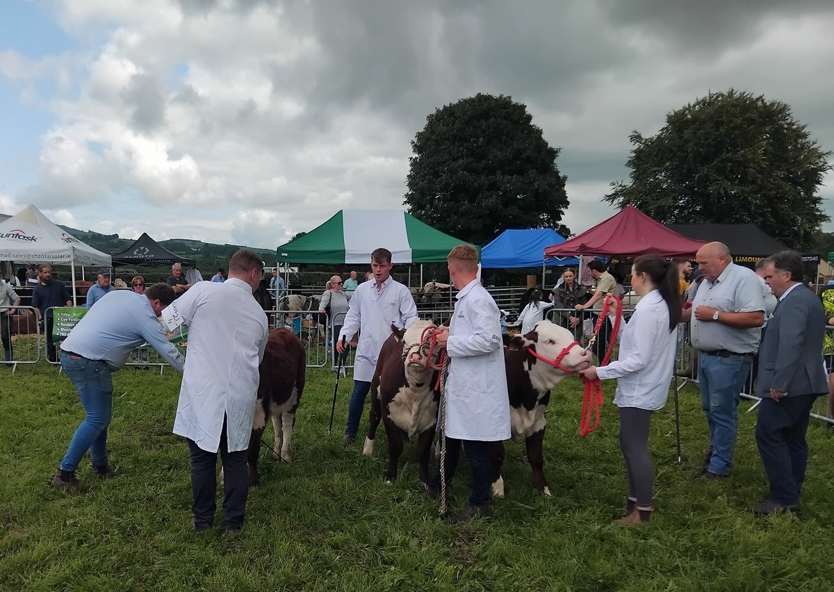 Congratulations to Liam and John O' Dwyer who won the Clare <a href="/IFAmedia/">Irish Farmers' Association</a> sponsored pedigree Hereford heifer class at Bridgetown Show today.
