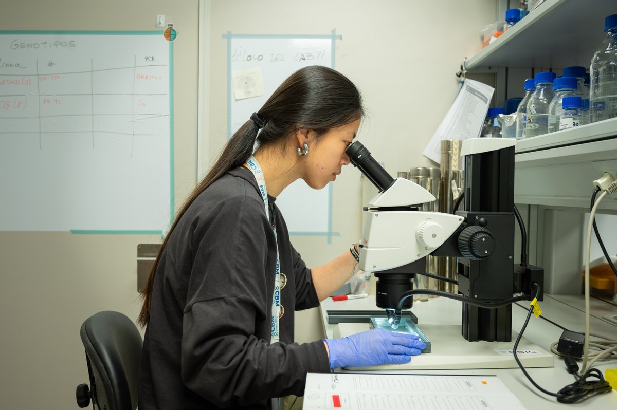 CSIC (@csic) on Twitter photo 💡 Este catálogo recopila una selección de las tecnologías con mayor potencial comercial del #CSIC desarrolladas por su personal investigador
🔬 Entre ellas, se incluye un biomarcador para el diagnóstico y pronóstico de la Esclerosis Múltiple, del <a href="/CBM_CSIC_UAM/">Centro de Biología Molecular Severo Ochoa</a> 💡 Este catálogo recopila una selección de las tecnologías con mayor potencial comercial del #CSIC desarrolladas por su personal investigador
🔬 Entre ellas, se incluye un biomarcador para el diagnóstico y pronóstico de la Esclerosis Múltiple, del <a href="/CBM_CSIC_UAM/">Centro de Biología Molecular Severo Ochoa</a>
