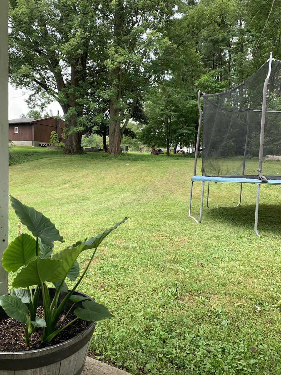 jcage48's tweet image. A little bit of web0 today. Go outside and touch grass, connect with the earth! 🌎 👌🏼👌🏼
