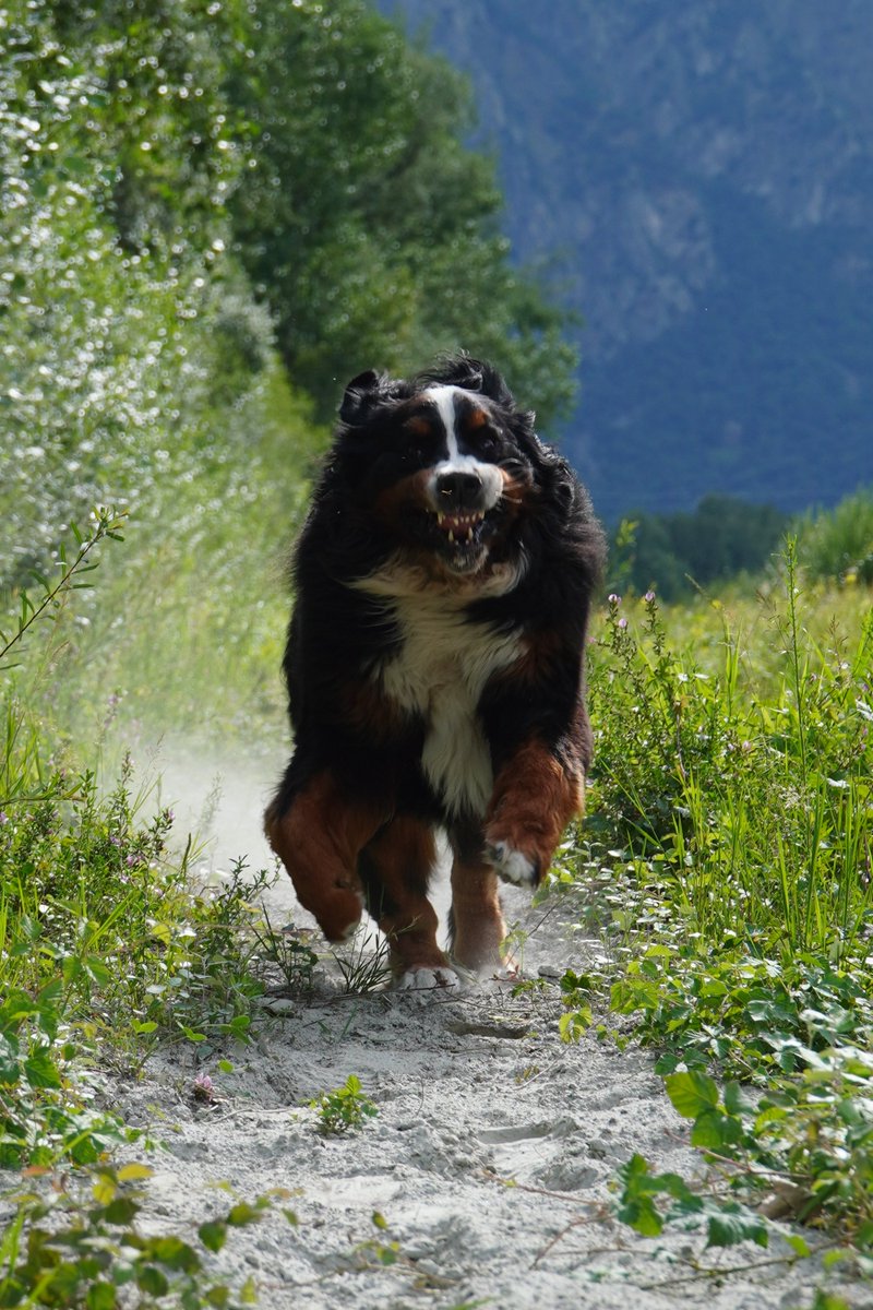 neutral_af's tweet image. Niki&apos;s vibes of the day