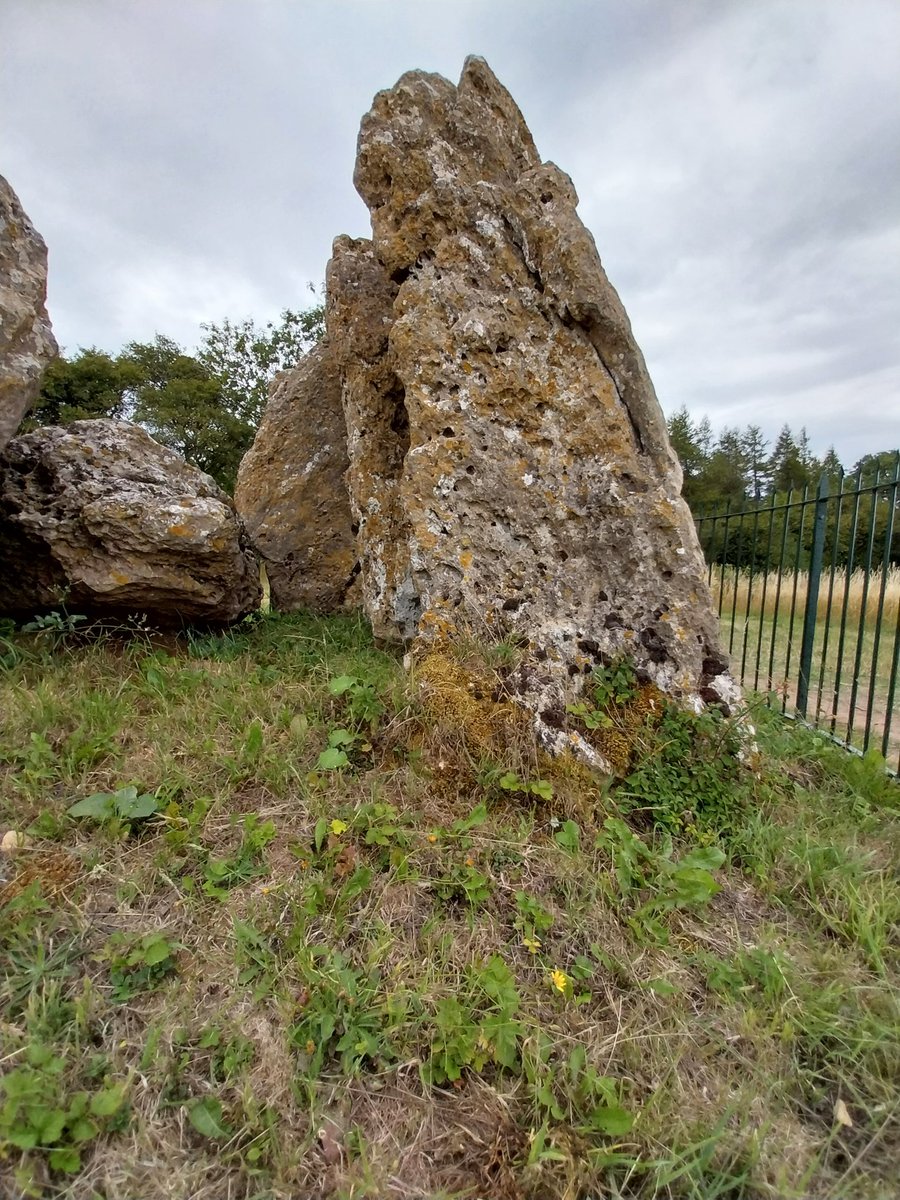 domestic_danger's tweet photo. Lovely afternoon to take the family ancient stone bothering at #Rollright
#StandingStoneSunday #AncientSiteSunday https://t.co/FYbxcxUt94