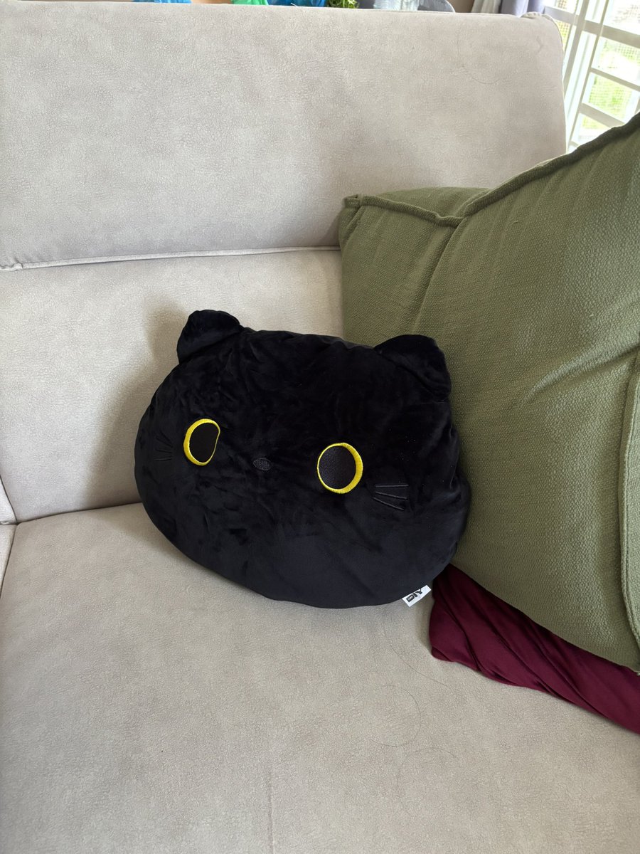 Aifaa Shafia tweet media