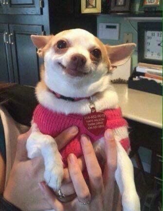 ᜊ ˚ ༘𝑉.⊹˚ | 𝘕𝘰 𝘎𝘪𝘳𝘭𝘴 𝘈𝘭𝘭𝘰𝘸𝘦𝘥 𝐞𝐫𝐚 tweet media