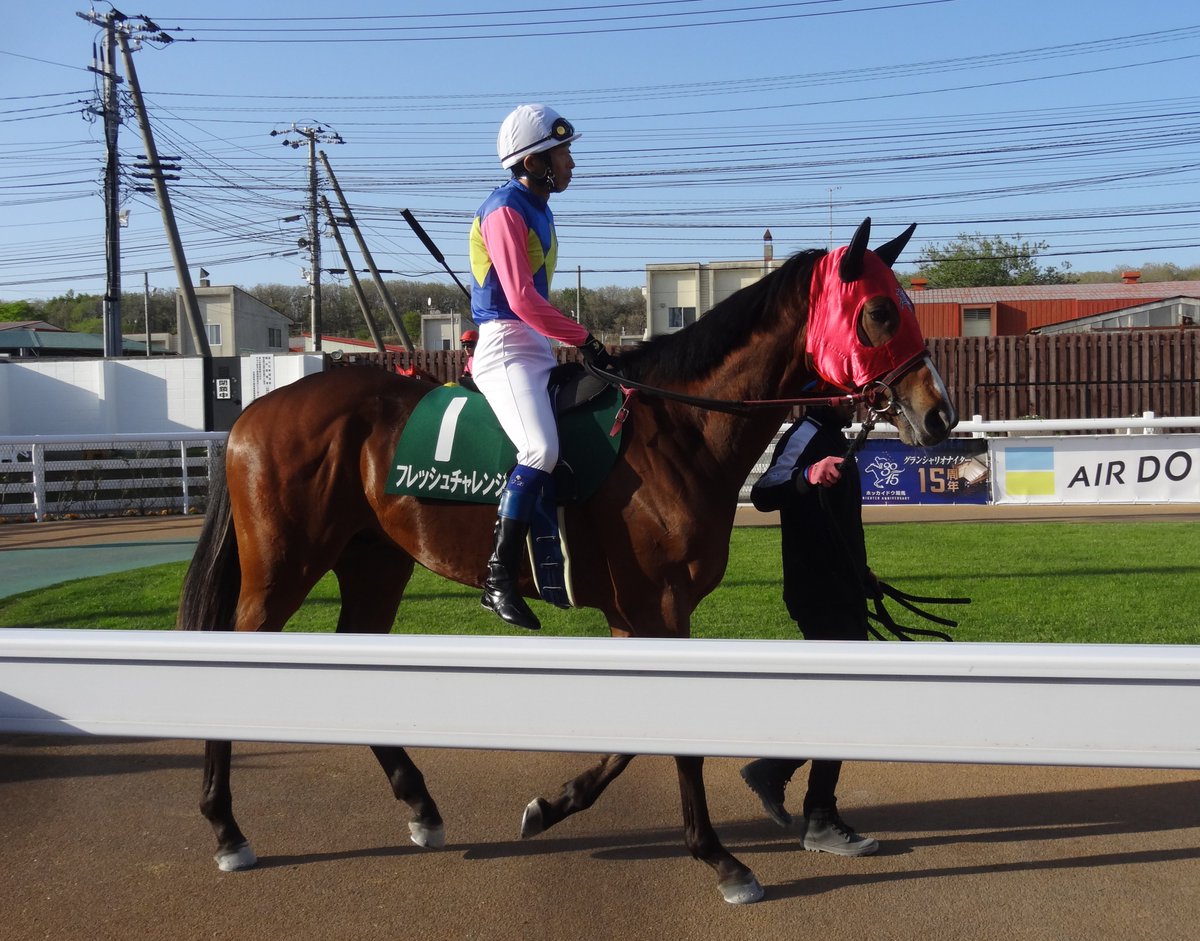 summers223's tweet image. 三冠馬となったソルジャーフィルドの新馬戦(デビュー戦)のときの写真です。
ルヴァンスレーヴの初年度産駒の出走第一号となり、
門別競馬場まで応援に行ったのが2024年5月
このときはホッカイドウ競馬の3歳クラシック(北斗盃・北海優駿・王冠賞)を制して三冠馬になるとは思ってもみませんでした。