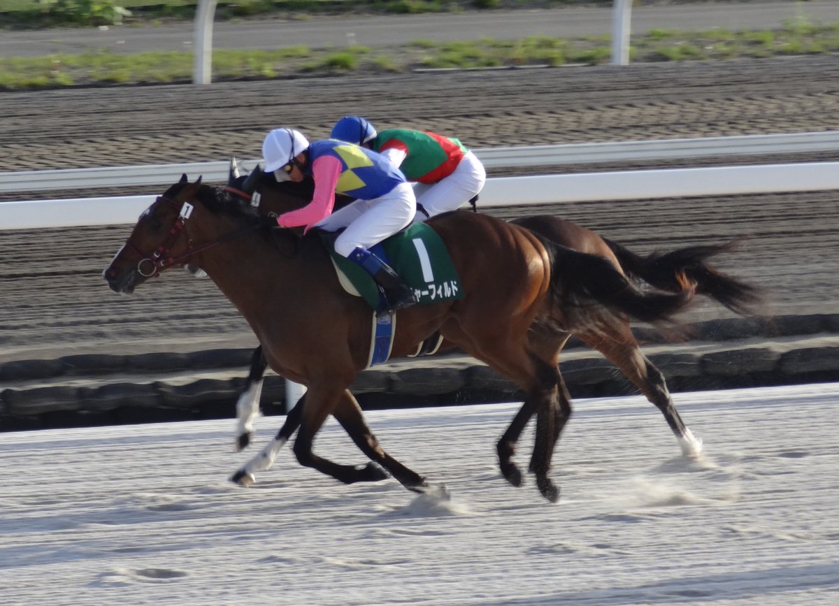 summers223's tweet image. 三冠馬となったソルジャーフィルドの新馬戦(デビュー戦)のときの写真です。
ルヴァンスレーヴの初年度産駒の出走第一号となり、
門別競馬場まで応援に行ったのが2024年5月
このときはホッカイドウ競馬の3歳クラシック(北斗盃・北海優駿・王冠賞)を制して三冠馬になるとは思ってもみませんでした。