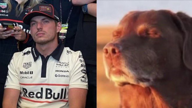maybezax's tweet image. I had a vision and chose sleep over f1 ..
