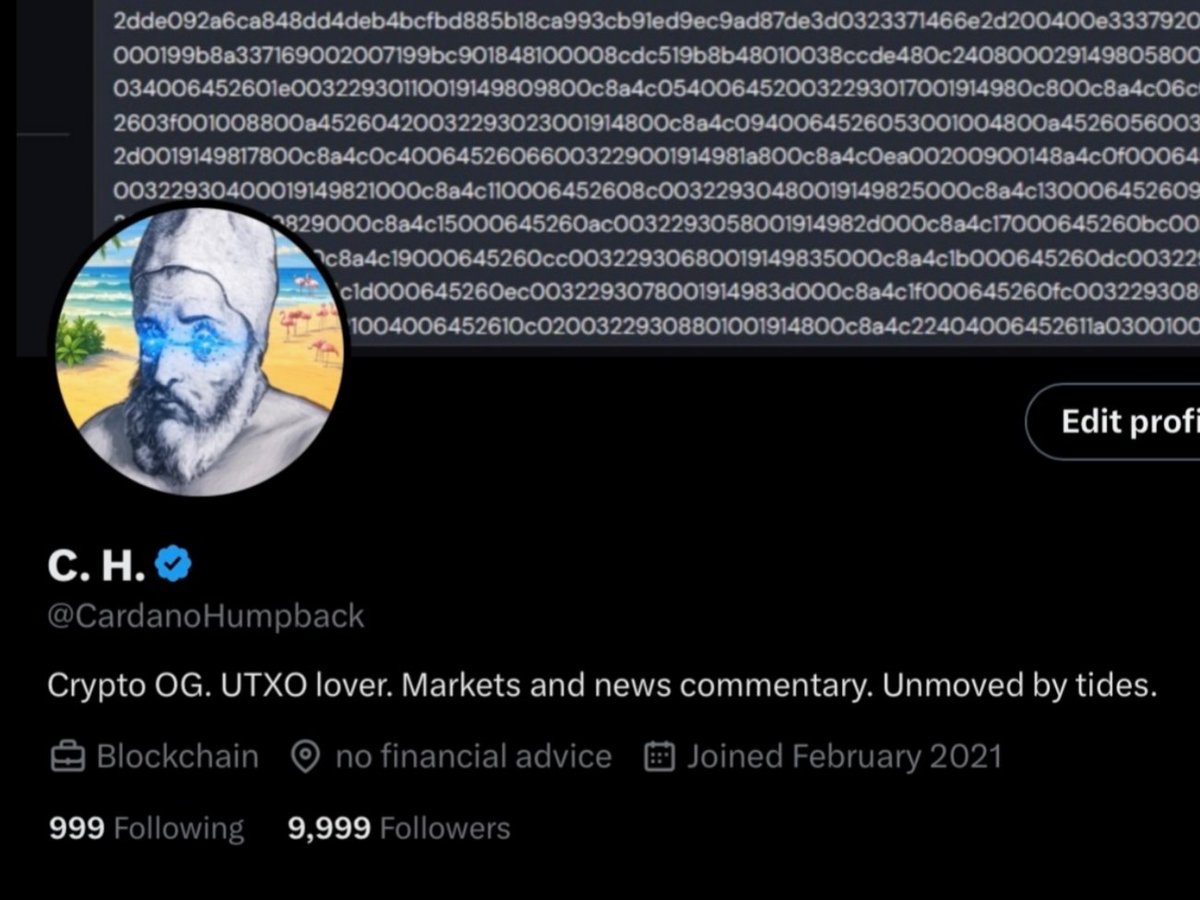 CardanoHumpback's tweet image. 🎉 9999 Celebration Giveaway 🎉
I'm giving away 99 ADA to ONE lucky follower to thank you all for helping me reach this milestone! Here's how to enter:
1️⃣ Follow me
2️⃣ Like this
3️⃣ Tag 3 friends
⏳ Giveaway ends in 9 days! The winner will be randomly selected by @grok. 🚀