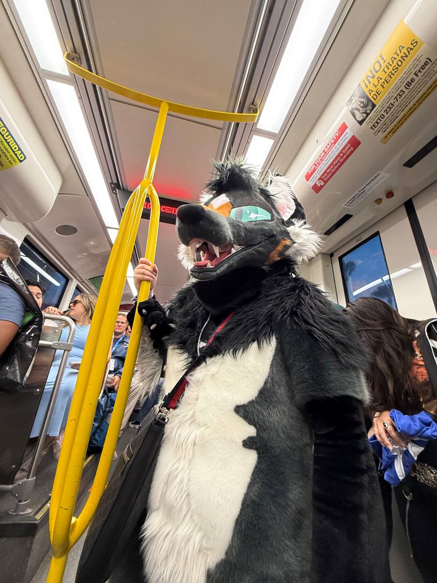 crossthatfox's tweet image. on my way to get a pawjob