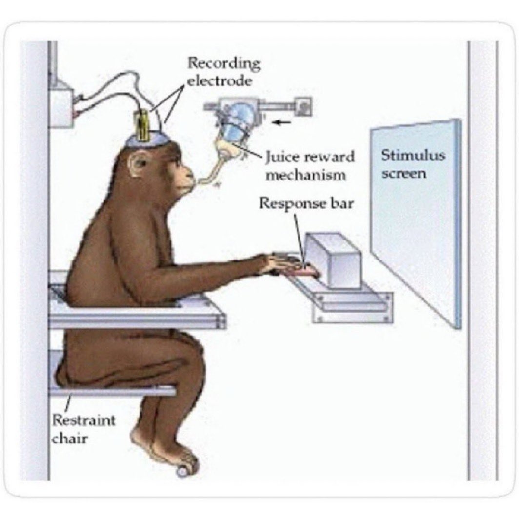 No thoughts  heads be empty asf 😂😂

POV a Naruto fan getting ready to Drop some unoriginal Corny bot 🤖 shit