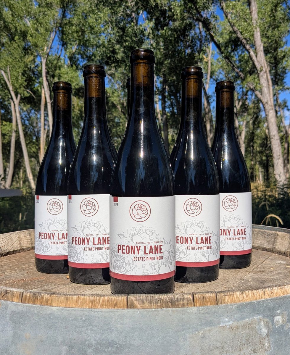 After six years of setbacks, false starts, and watching Mother Nature crush my plans, I'm finally holding the wine I've been chasing: a Pinot Noir that shows everything my vineyard can be.

Let me tell you why.

When I decided to make wine, I had one advantage: proof of concept.