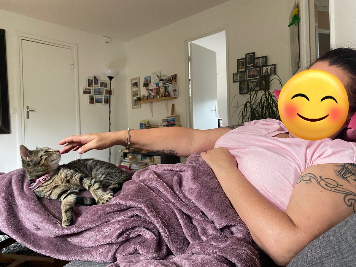 WICKENlNG's tweet photo. my mom and the cat she didn't want 24 hours ago https://t.co/6RJhClolPE