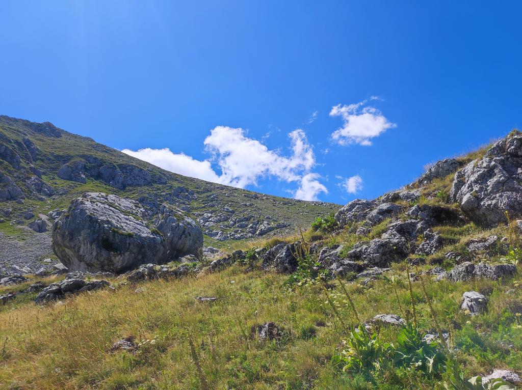 wilhelm_2112's tweet image. Escursione con 750 m di dislivello, 7.5km e ritorno.
Arrivati in cima questo era lo spettacolo.
Ne è valsa la pena.