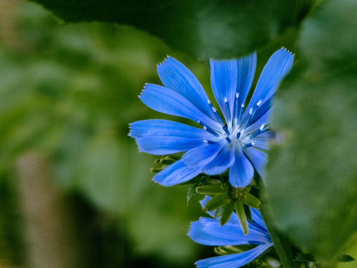 Jeffrey Riley tweet media