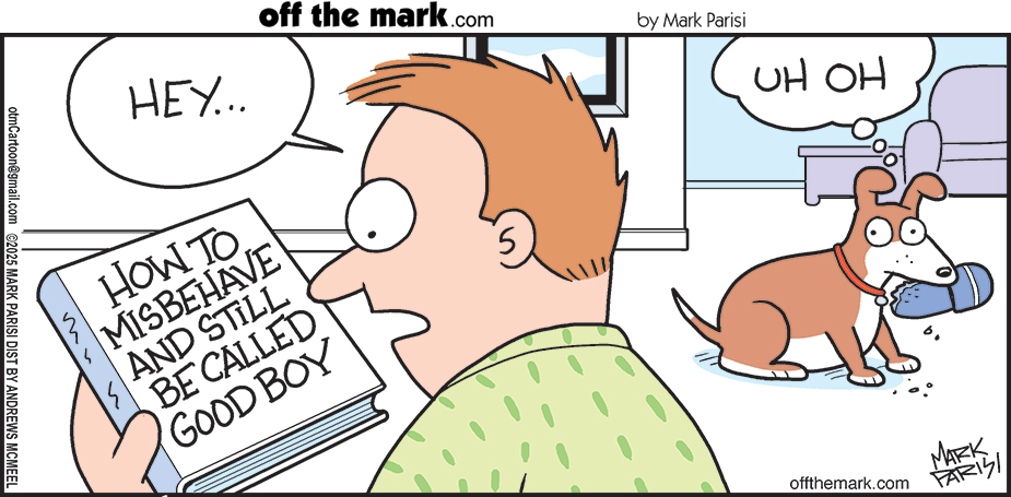 OffTheMarkComic's tweet image. Whooops
