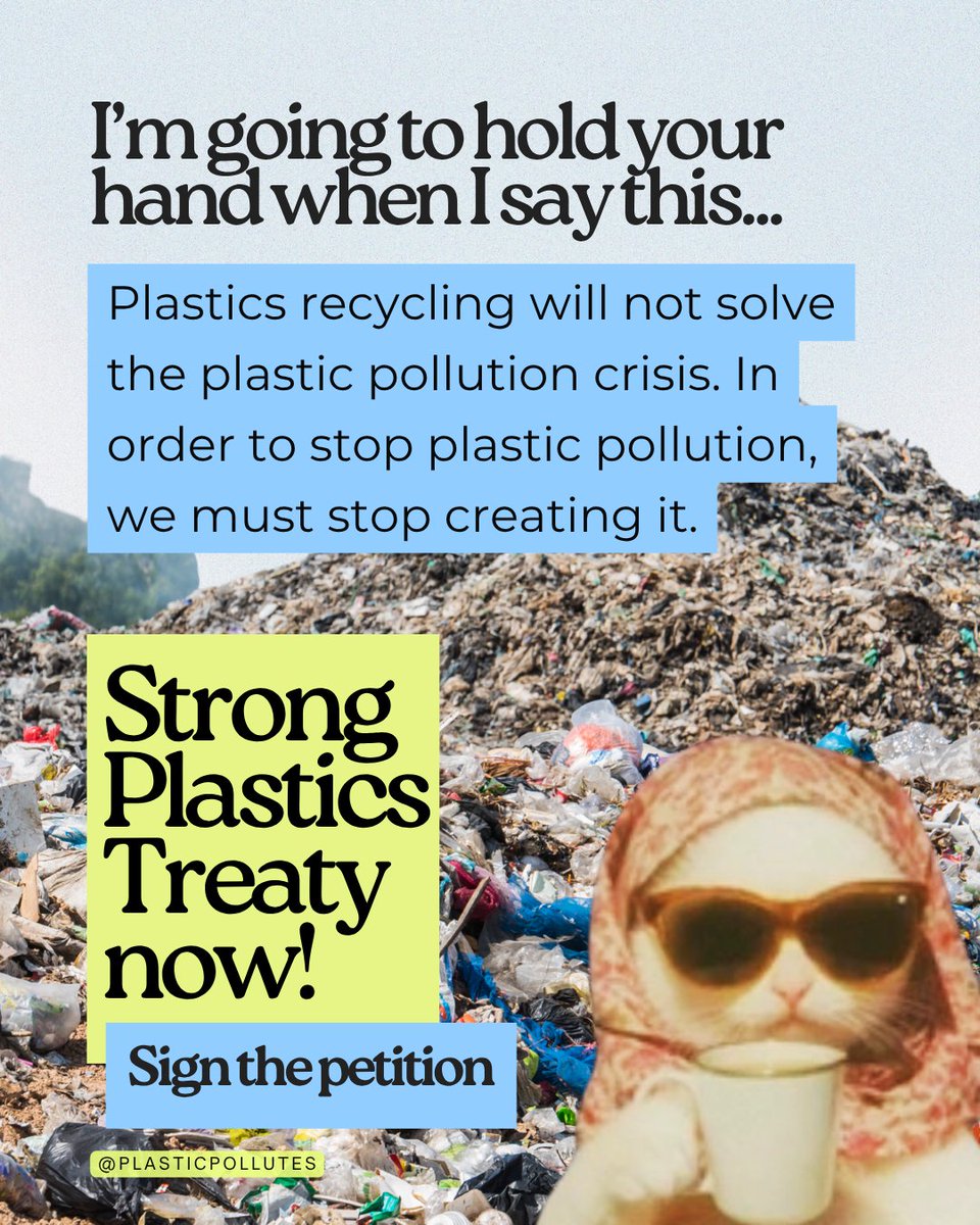 PlasticPollutes's tweet image. ✨ Plastic Free July may be coming to a close, but stay tuned because we need your support NOW as world leaders go back to the negotiating table for a #PlasticsTreaty in August. Sign the petition to ensure that the Plastics Treaty is strong! bit.ly/44F90Cs