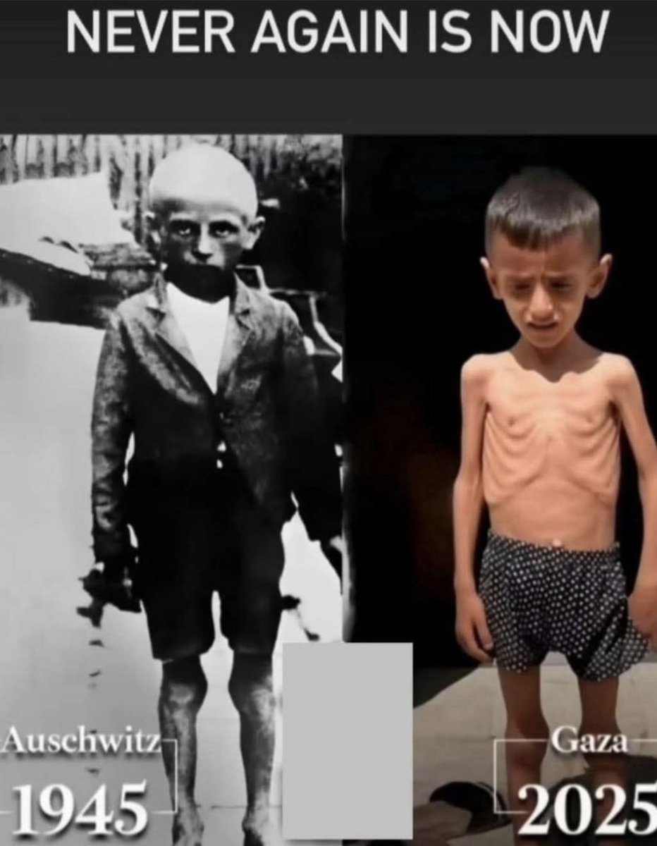 Vergüenza e impotencia, mucha impotencia.