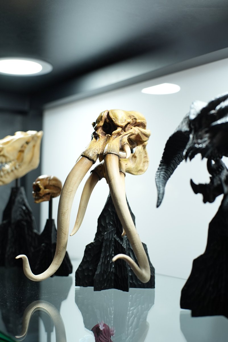 Wētā Workshop (@wetaworkshop) on Twitter photo They roamed the Southern plains; now only bone remains. The Skull of a Mûmak joins the Miniature Skull Collection. 
Unearthed and on display at SDCC.
Explore the full lineup: 
 wetanz.com/skull-of-mumak 
 #SDCC2025 #WetaWorkshop They roamed the Southern plains; now only bone remains. The Skull of a Mûmak joins the Miniature Skull Collection. 
Unearthed and on display at SDCC.
Explore the full lineup: 
 wetanz.com/skull-of-mumak 
 #SDCC2025 #WetaWorkshop