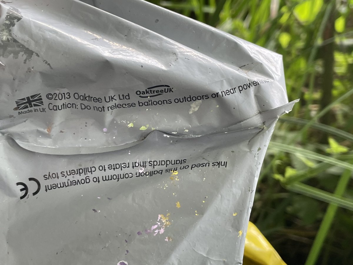 I know it just seems like a fun thing at a party but please stop releasing helium balloons, they’re a nightmare for both wildlife and livestock. Found this caught on a bridge between a brook and a field near Moreton.