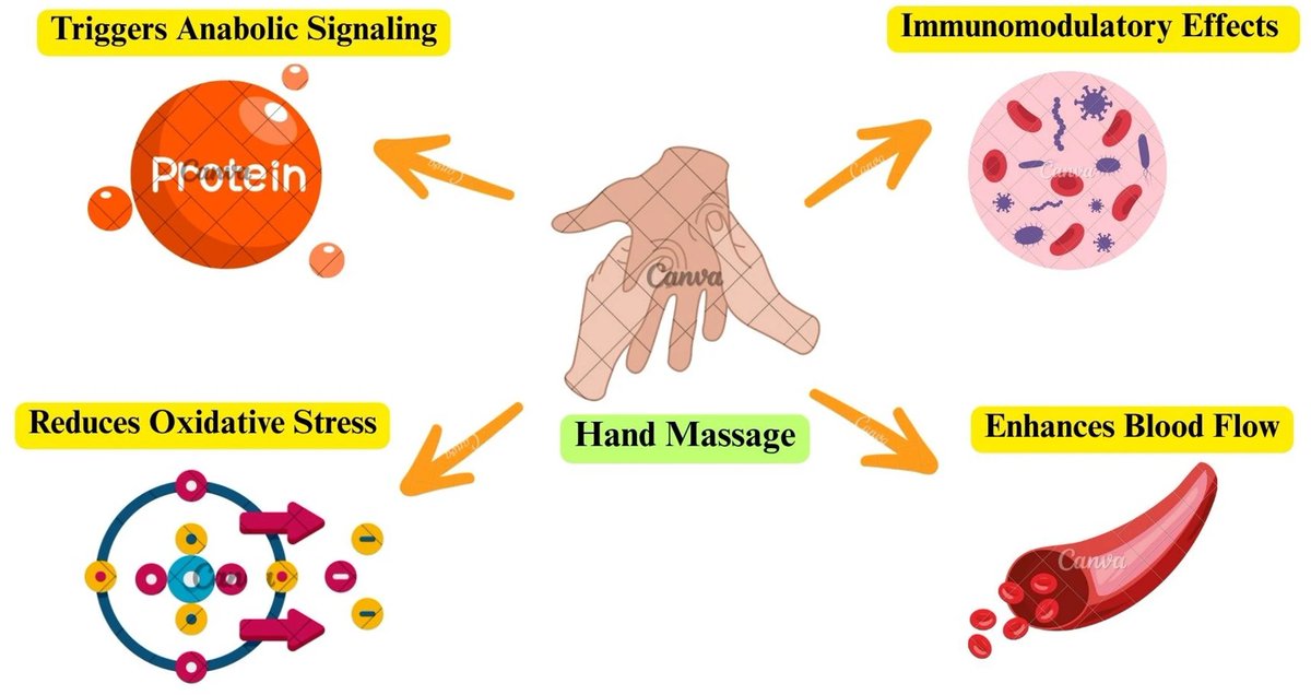 Rheumatol_Int's tweet image. Rheumatoid #RA hand massage therapy to mitigate #sarcopenia and improve patients’ quality of life: a hypothesis by @BurhanFatihKoy1 et al.
👉rdcu.be/ex2VF