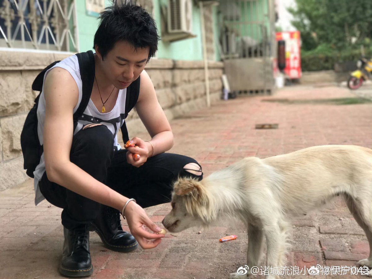 sparklimermaid's tweet image. Liu yuning&apos;s glow up is crazy 😭