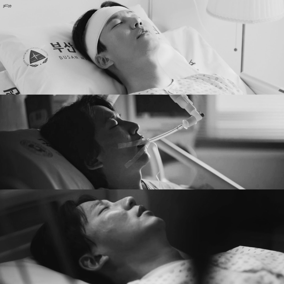 gil__zz's tweet image. 레전드 정병 정신아픔이가 되어가