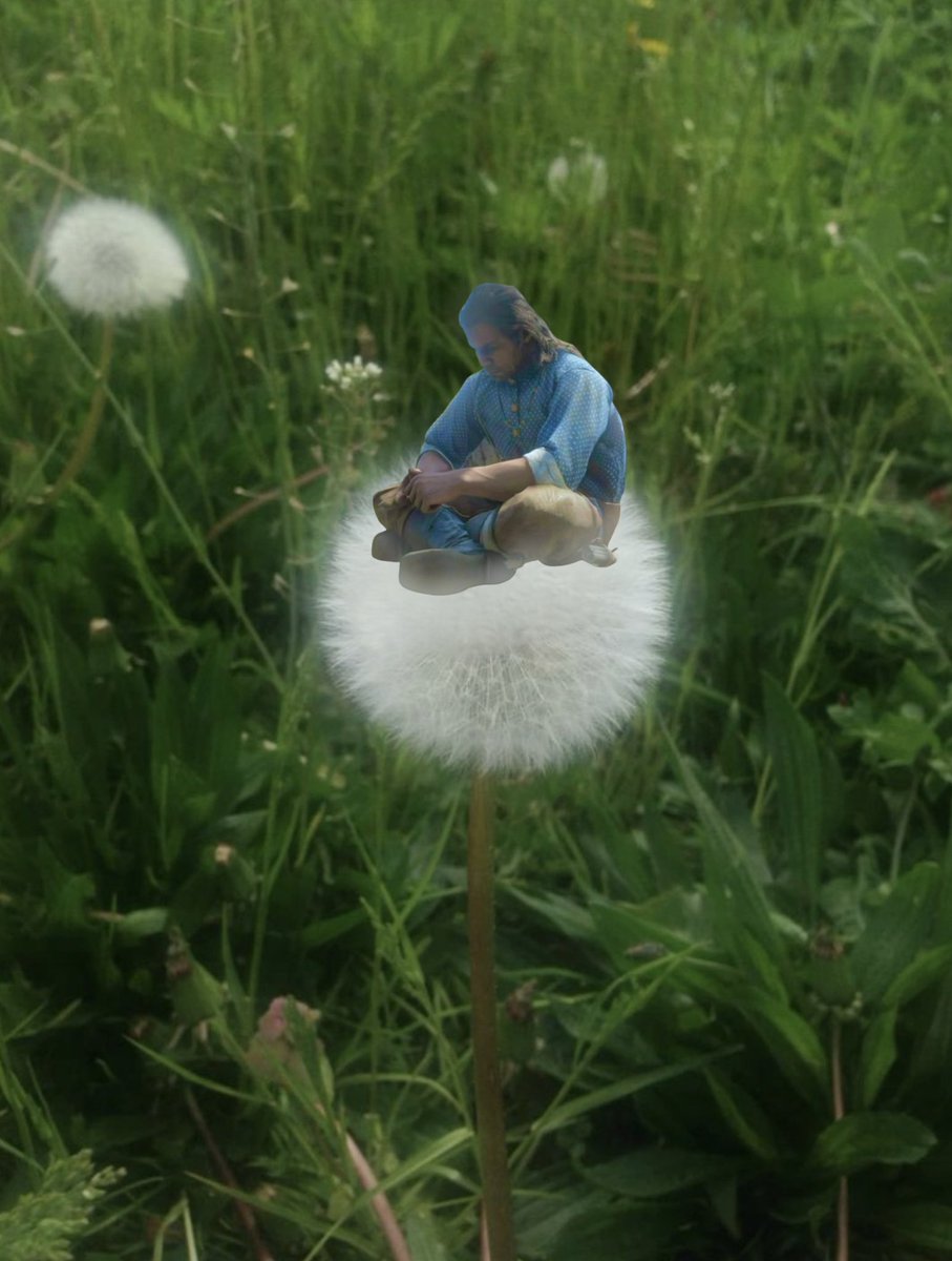B0ssman419's tweet image. i am a wildlife photographer. and I just took this picture.