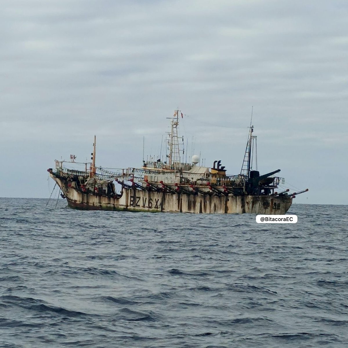 BitacoraEc's tweet photo. #Galapagos los buques pesqueros de China 🇨🇳 ya pescan otra vez junto al mar del Ecuador.
Pescadores ecuatorianos alertan que decenas de barcos chinos están en el límite de la ZEE insular o de Galápagos. El barco Haideli708 hasta el 23 estaba a 60 millas de la ZEE
(Hilo) https://t.co/9xwO3ngojf