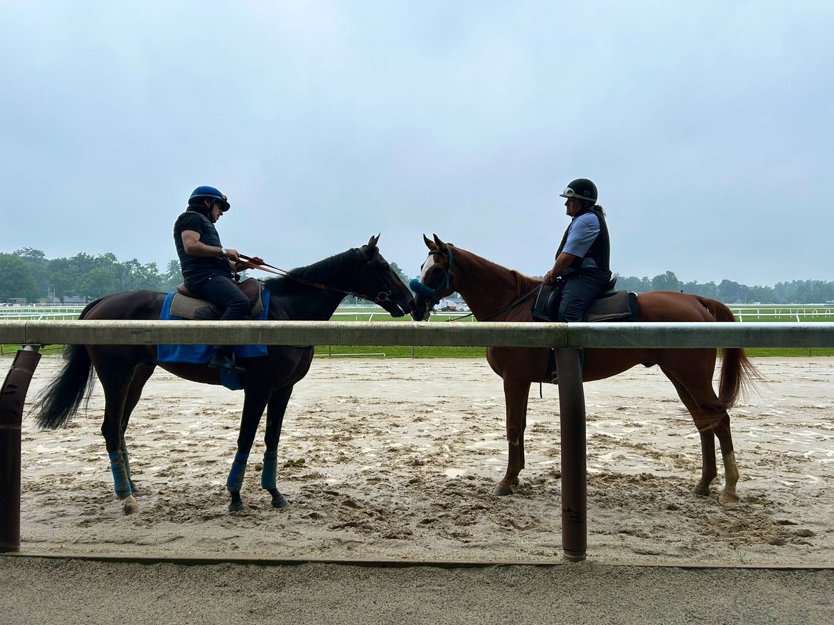 TripleDeadHeat's tweet image. G1 Saratoga Derby contender JUWELIER making friends on the Oklahoma training track…