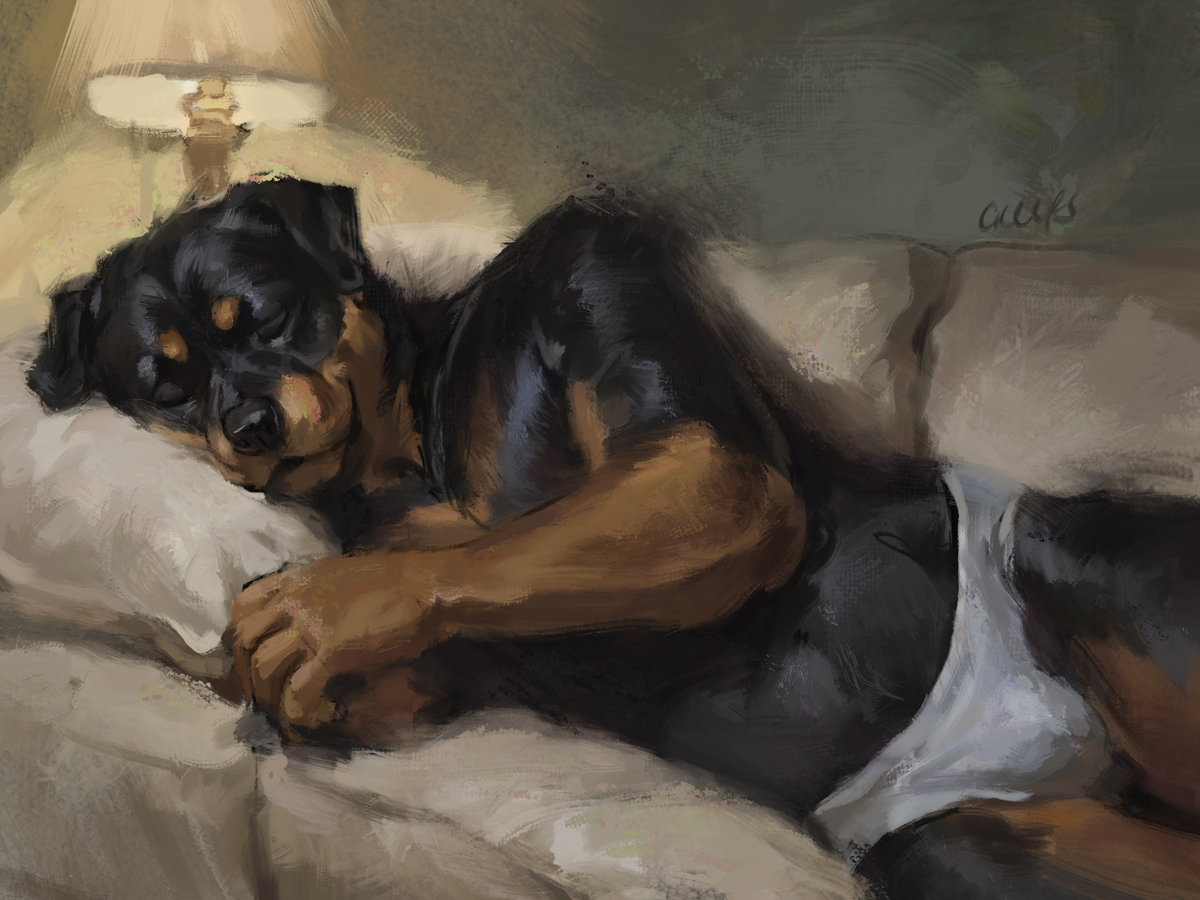 commission for David