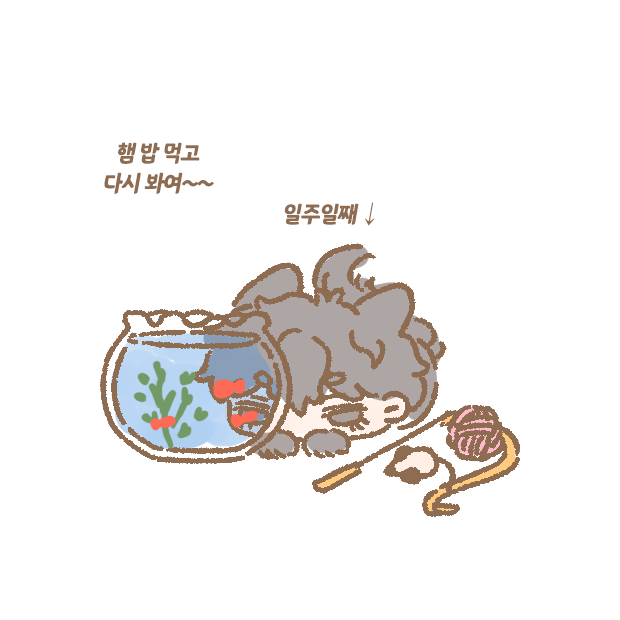 t0mat0k's tweet image. 보글보글🫧🫧