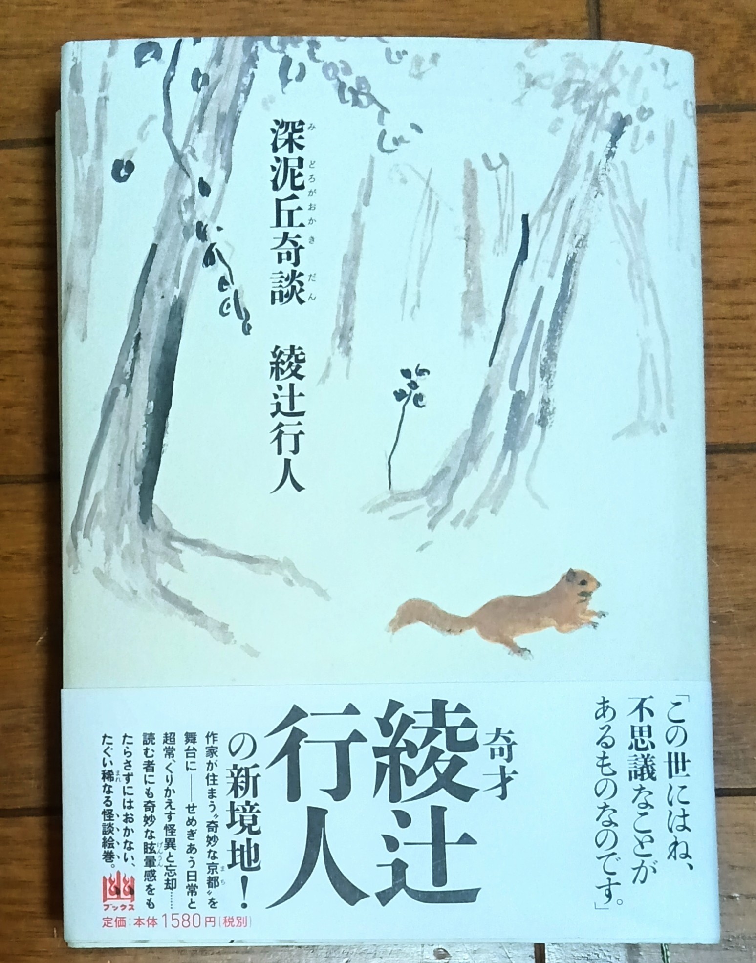 値下げ！[サイン！初版！美本！]深泥丘奇談・続々　完結篇　綾辻行人　署名落款 2025年最新】綾辻行人サインの人気アイテム - メルカリ