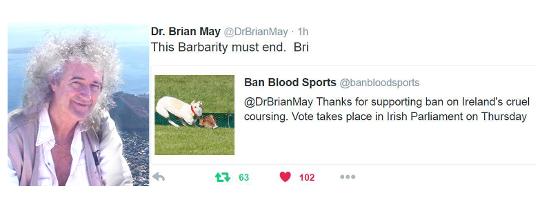 Ireland's cruel hare coursing: "This barbarity must end" - <a href="/Sirbrianmay/">Brian May</a>. #Ireland #AnimalCruelty #BanHareCoursing URGENT ACTION ALERT ➡️ banbloodsports.wordpress.com/2025/07/08/min…
