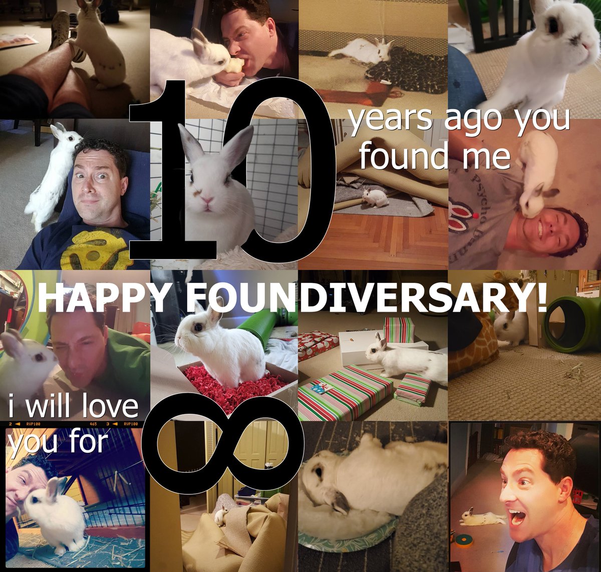 DanJKroll's tweet image. Ten years ago, a little white ball of fluff somehow traversed the mean streets of Philadelphia to find his way to my driveway -- on a day that I wasn't supposed to be home. Clearly, we were meant to find each other and I can't imagine the last decade without him and his antics.