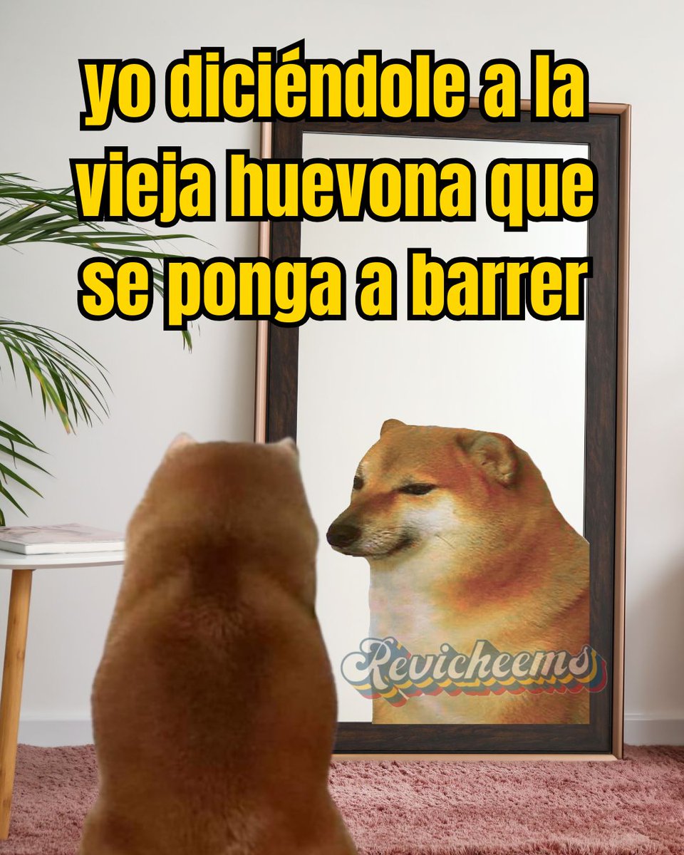 Revicheems1's tweet image. Toca ponerse vestidito 😏