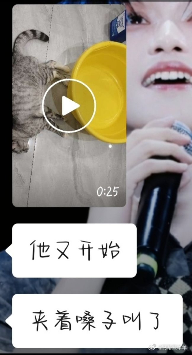 nimernight38961's tweet image. On July 27, 2025, at 11:58 PM, Nuo, a well-known blogger on a social platform, uploaded a 25-second video about cat cruelty and publicly admitted her perverse psychological habit.
#China
#MadeInChina
#BoycottChina