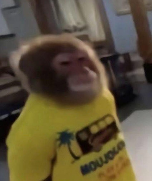 yo esperando que alguien me lleve la contra para arrancar a discutir