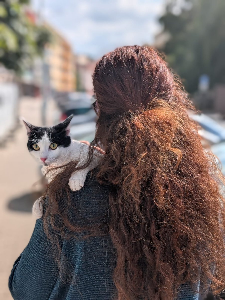 KacenMates's tweet image. A co venčíte vy?