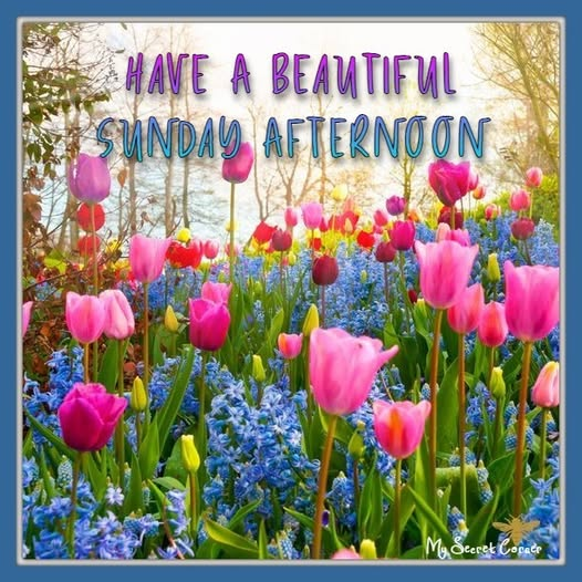 SueJ2024's tweet image. ☀️❤️🇺🇸Hello my Friends🇺🇸❤️☀️
Have a Blessed, peaceful and lovely Sunday! 😘