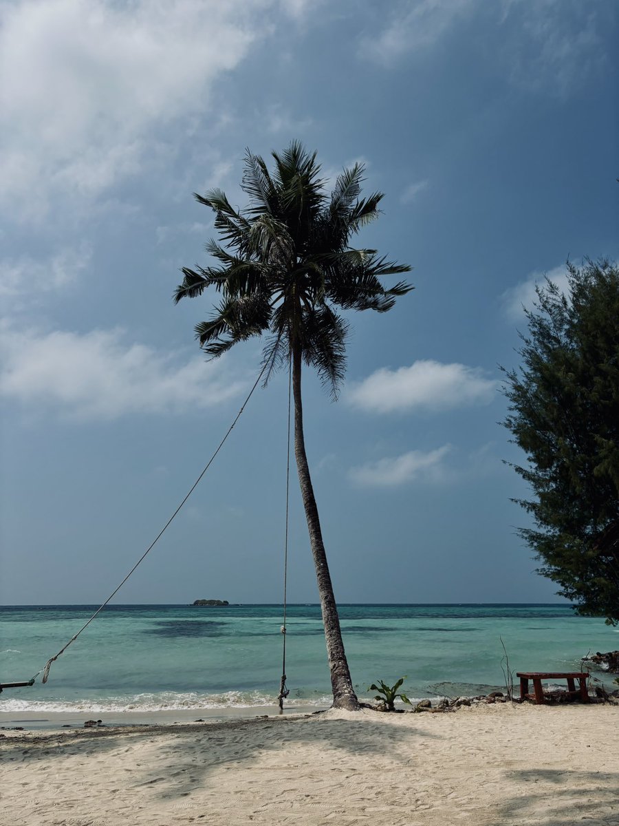 rioadrnmm tweet media